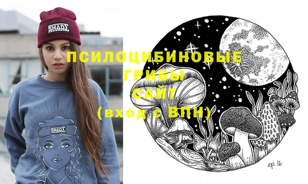 хмурый Алексеевка