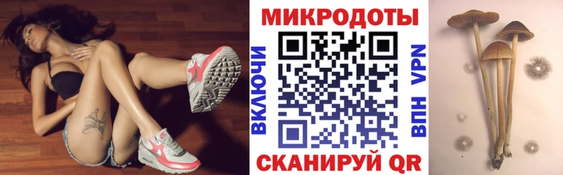 Псилоцибиновые грибы Cubensis  сколько стоит  KRAKEN вход  Мураши 