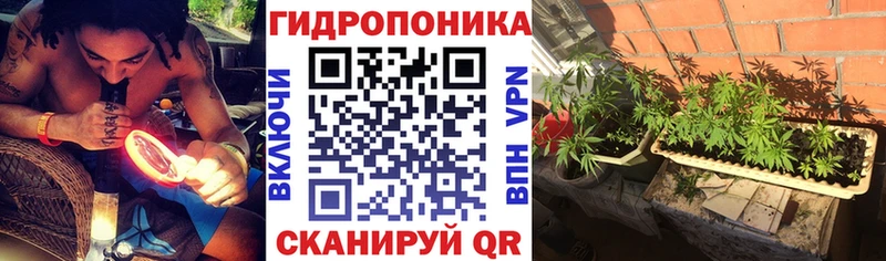 МАРИХУАНА план  Мураши 